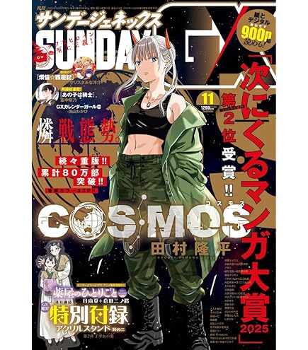 Amazon.co.jp: ヴァイスシュヴァルツブラウ ブースターパック TV