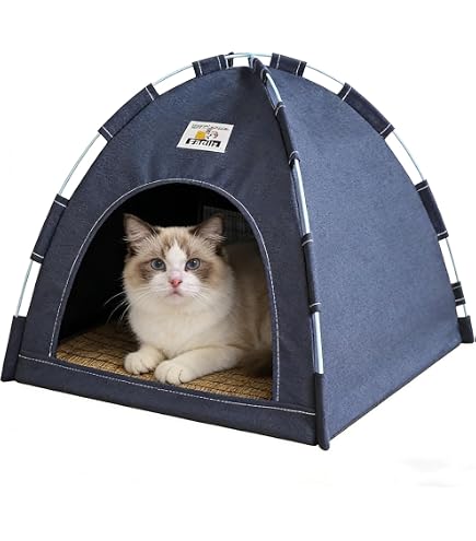 Amazon.co.jp: ねこのきもち 付録 にゃー キューブ型 キャットテント