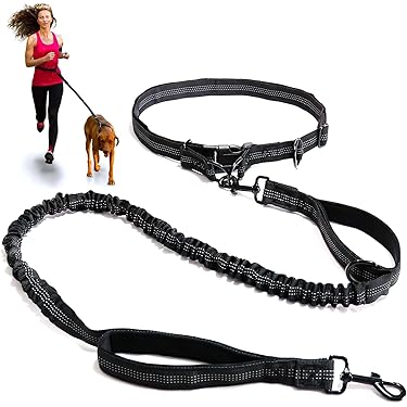 Amazon.co.jp 最新リリース: 犬用首輪・ハーネス・リード の新着