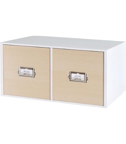 Amazon.co.jp：ナカバヤシ CDケース 2列 レッド FBD-NC201R: パソコン