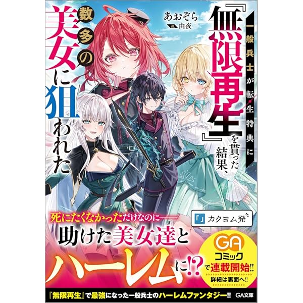 ハイスクールD×D アクマのおしごと ブックカバー NOT FOR SALE ハイスクールD×D アクマのおしごと ブックカバー NOT FOR SALE