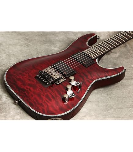 Amazon | SCHECTER (シェクター) エレキギター OMEN EXTREME-6 FR VSB
