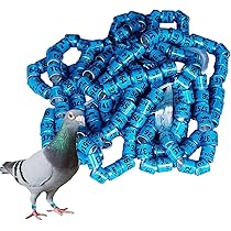 レース鳩用チップリング レース鳩用チップリング