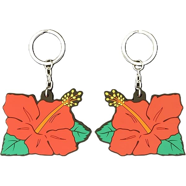 Amazon.co.jp: [アズグリッド] HANAHANA アクリルキーホルダー 3種