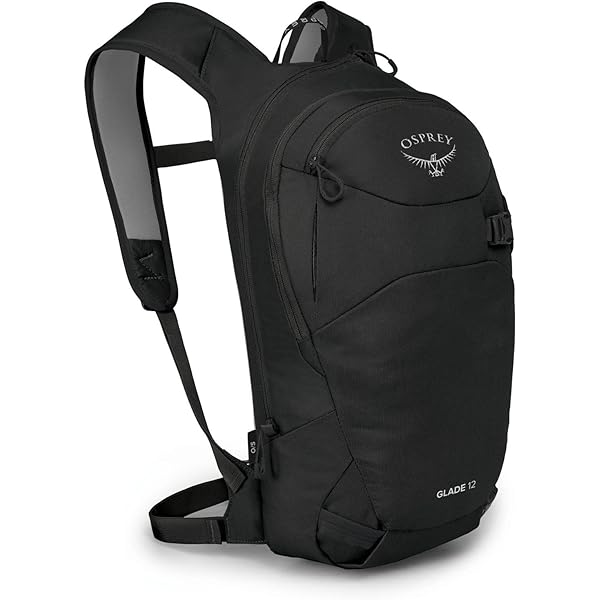 FCS バックパック ブラック（2way） Amazon.co.jp: FCS バックパック PACSAFE ROAM DAY PACK 25L