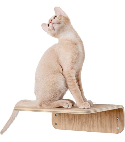 Amazon | MYZOO キャットステップ CORK-R | MYZOO | キャットタワー 通販 Amazon | MYZOO キャットステップ CORK-R | MYZOO | キャットタワー 通販