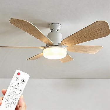 Amazon.co.jp 最新リリース: シーリングファンライト の新着ランキング