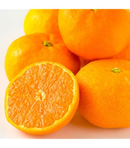 Amazon.co.jp: 福岡産 山川みかん 博多マイルドみかん 赤秀 Sサイズ