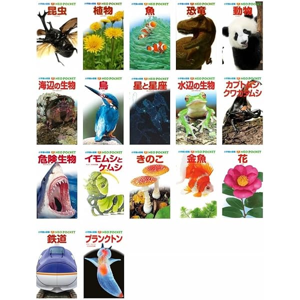 Amazon.co.jp: 小学館の図鑑NEOポケット(全13巻セット) : 本