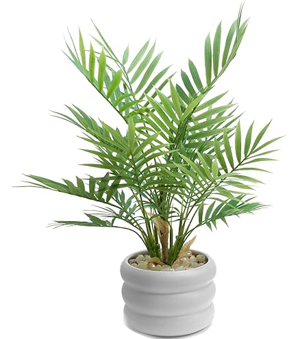 Amazon｜HANAYUKI 人工観葉植物 フェイクグリーン ベンジャミン