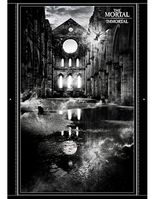 Amazon.co.jp: EXPLOSION-愛の惑星 Live 2004- [DVD] : 櫻井敦司, 櫻井