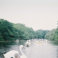 Amazon.co.jp: ねことお化けと台所: ミュージック