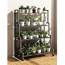 718R5nbQFsL._AC_UL210_SR210,