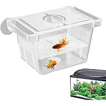 Amazon | 産卵箱 アクリル 水槽用 孵化 多機能 魚 繁殖隔離