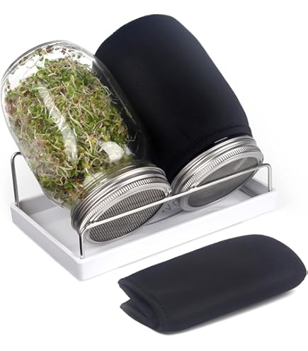 Amazon.co.jp: マイコン電気発芽器 発芽美人 HP-70 ライトグレー