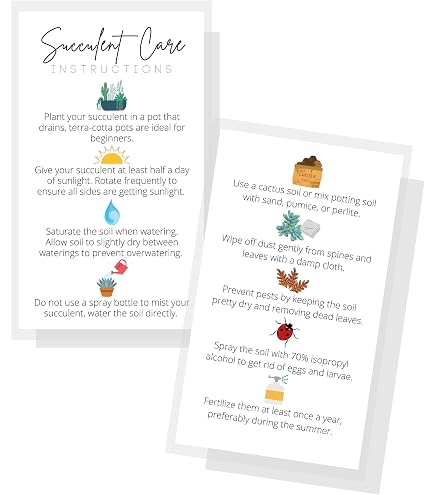 Air Plant Care Card Air Plant Care Instruction Cards - 50 Pack, 2x3.5"  Business Cards With Care Guide, White With Icons Premium Cardstock Plant  Tips