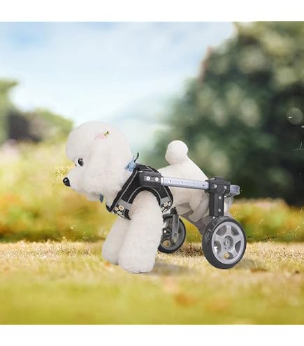 小型犬用車椅子　顎乗せ付き Amazon.co.jp: □犬の車椅子 小型犬用4輪車 29kg位 背高35cm位 顎乗せ
