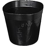 Amazon Co Jp 渡辺泰 苗ポット 10個入 15 0cm Diy 工具 ガーデン