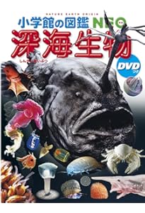 小学館の図鑑NEO　12冊セット 小学館の図鑑 NEO 12冊セット 恐竜 宇宙他 - メルカリ