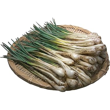 鹿児島県産 新鮮 らっきょう 10kg 鳥取 に次ぐ生産量196 楽天市場】らっきょう 10kgの通販