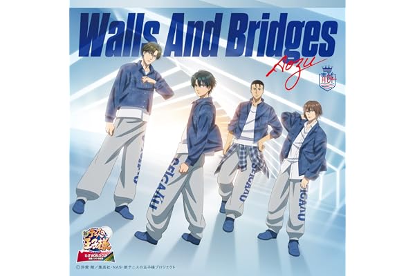 Walls And Bridges