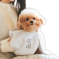 笑う犬　グッズタオル、バック 718ZQsBqL3L._AC_UL210_SR210,