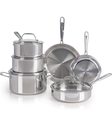 Amazon.co.jp: All-Clad D5 Stainless Steel 8 Inch and 10 Inch