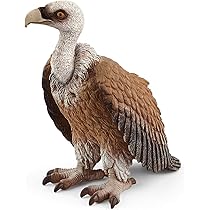 動物のフィギュア①傷 CollectA新作追加入荷しました(2021.9.7)