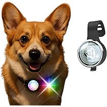 Amazon.co.jp: Link-N 犬 散歩 ライト LED 高輝度 充電式 【各犬