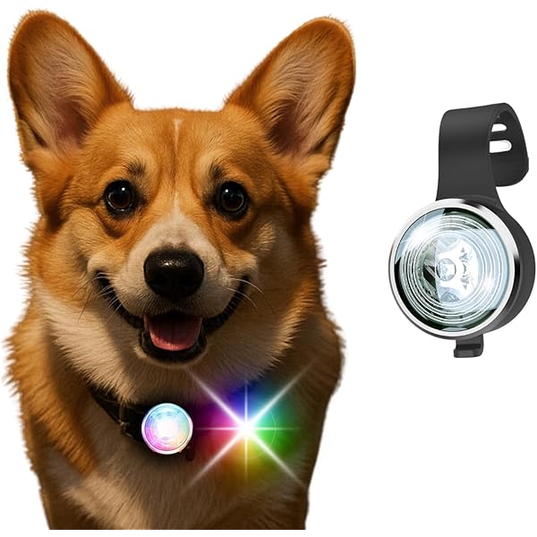 Amazon.co.jp: VANLYTPET 犬用ライト 夜間の散歩用 充電式犬用