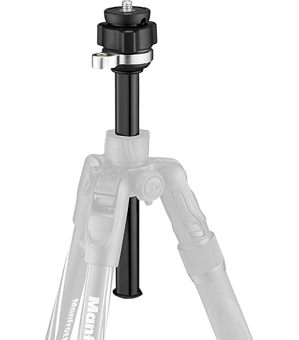 Amazon | ジッツオ(GITZO) 三脚アクセサリー システマティックギア付き
