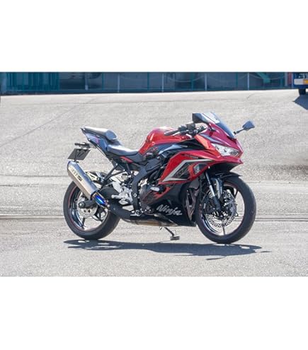 Amazon | トリックスター(TRICK STAR) 政府認証スリップオン イカヅチ