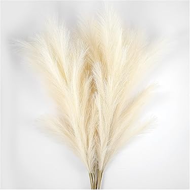 Amazon.co.jp 売れ筋ランキング: ドライプランツ の中で最も人気