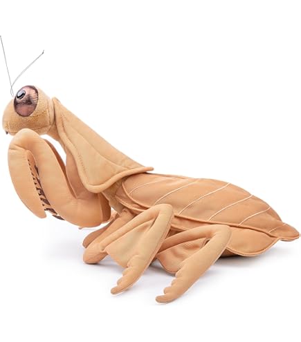 Amazon.co.jp: lilizzhoumax 葉の裏にあるカマキリのぬいぐるみ