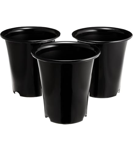 Amazon.co.jp: 洋蘭プラ鉢 4号 10個 黒ラン鉢 プラ鉢 12cm 薔薇 苗 深