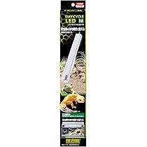 えるページ Amazon.co.jp: 携帯電話曲面スクリーン分解カード 分解ツールスマホ