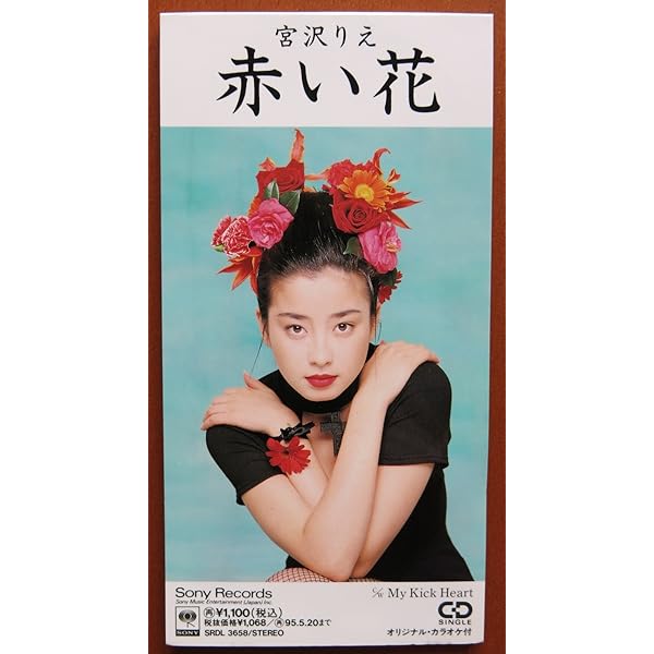 赤い花 宮沢りえ 市川武也 中澤城一 白井良明 小室哲哉 Cozy カラオケ