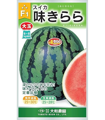 ドラゴンボール - スイカ種  タキイ種苗 スイカ種子 ブラックボール2[ASU049]【取り寄せ注文
