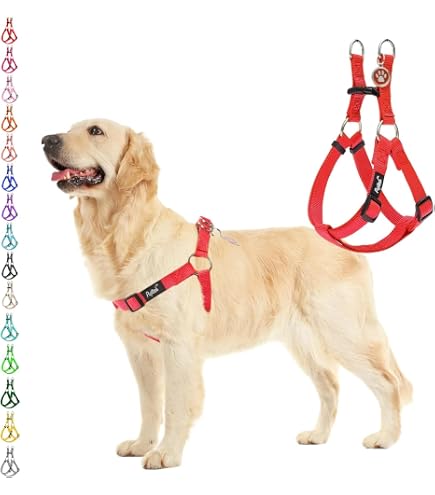 Amazon | ハイライン (Hi-Line) 小型犬用最高級本皮革 ハーネス a-cube
