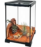 Amazon | ジェックス EXO TERRA (エキゾテラ) グラステラリウム