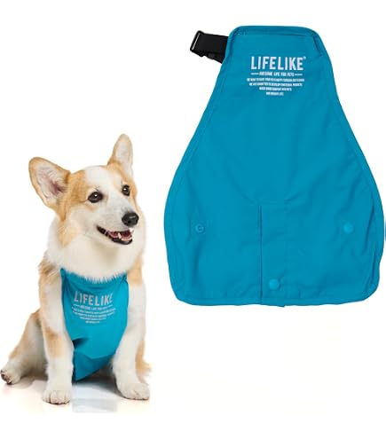 Amazon | 【LIFELIKE公式】ベーカリートレーナー 犬 服 パン柄 パン