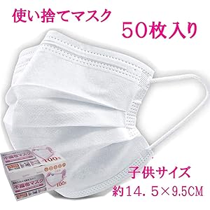 使い捨てマスク お徳用100枚入り箱(50枚入り×2セット)小さめサイズ 子供サイズ 3枚構造 FN03×2