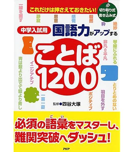 【小5・6】算数サピックス分野別シリーズ スタンダード標準20回テストフルセット Amazon.co.jp: WX10-080 SAPIX サピックス 小5/6 分野別シリーズ