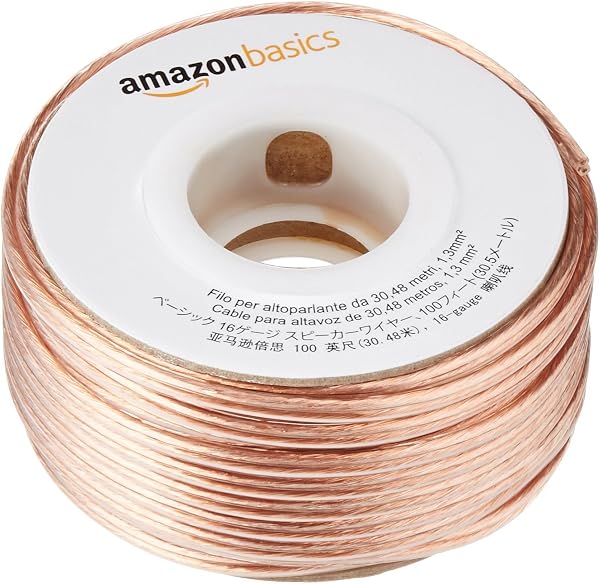 AmazonBasics SW100FT - 1