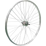 アサヒサイクル アサヒサイクル ステンレス27インチ 内装3段リアホイール(ローラーブレーキ仕様) TB2S7 [並行輸入品]