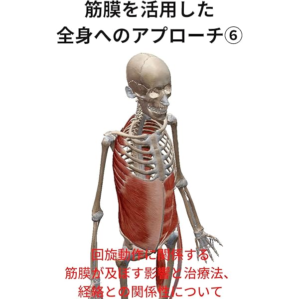 ゆるりんアナトミートレインの理論と脊柱・上肢へのアプローチ Amazon.co.jp: 筋膜を活用した全身へのアプローチ: 身体後面