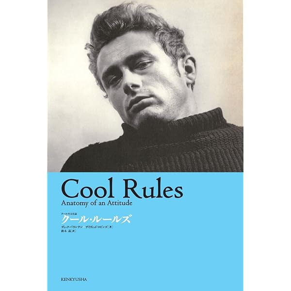 Amazon.co.jp: ヒップ アメリカにおけるかっこよさの系譜学 (P