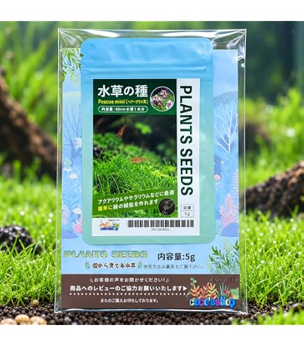 Amazon.co.jp: 水草の種 種から育てる水草 Fescue Mini【ショート