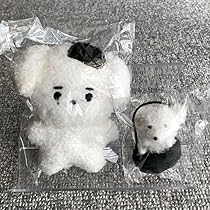 ENHYPEN ぬいぐるみ ソンフン ENHYPEN 【ソンフン】ぬいぐるみ - メルカリ