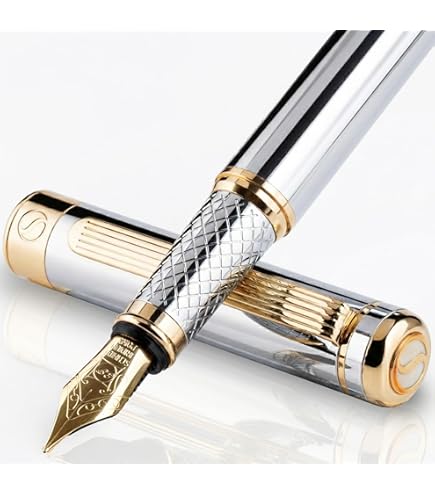 Amazon | Montblanc stilografica Meisterstück 149 Calligraphy